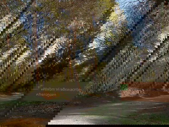 Wandelen in een nieuw Nederland