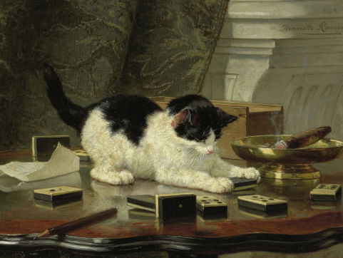 'Er moet een castratieplicht komen voor alle katten'.