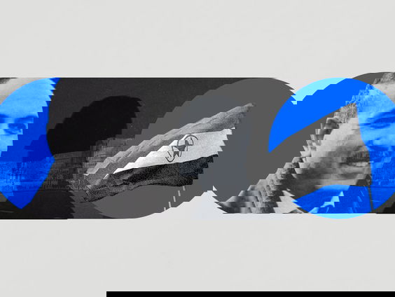 De Iraanse jacht op een politiek activist