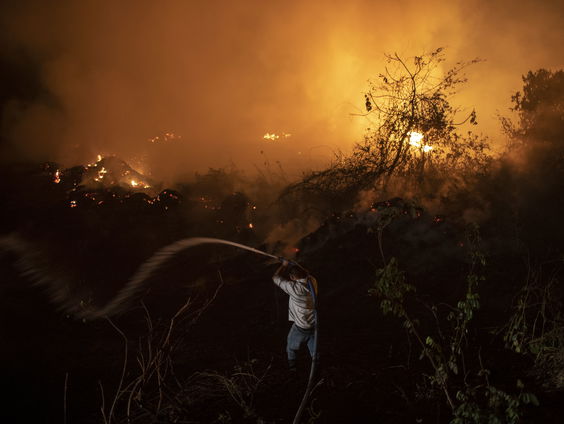 Scherpe kritiek op milieubeleid in Braziliƫ