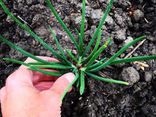 "Sta stil bij je omgeving, het is prachtig!"