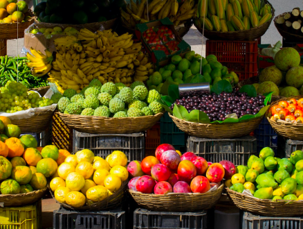 De landbouw moet intensiever