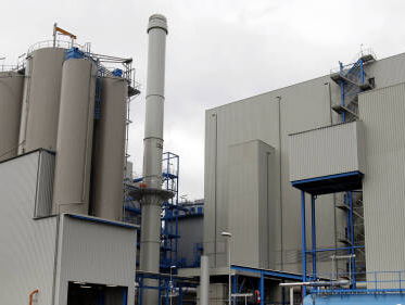 Nederland kan niet om biomassa heen