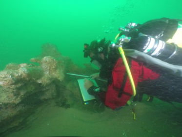 'Zeeschatten dreigen weg te spoelen'