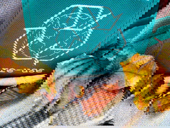 Transitie circulaire economie gaat te traag