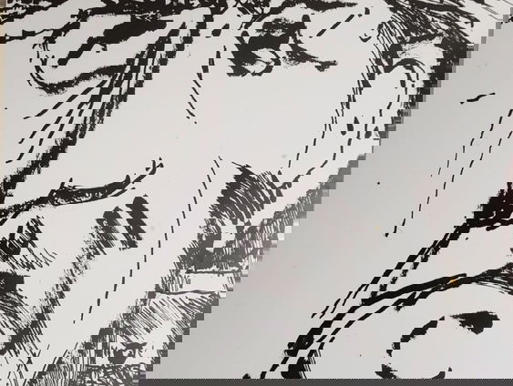 Radio Doc: Naar Istanbul