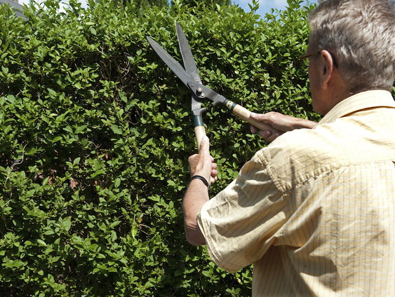 Wat we moeten weten over het nieuwe 'casinopensioen'