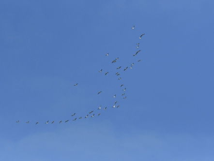 Is de lucht blauwer?