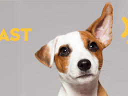 NTR Podcastprijs 2020: Een koud kunstje | Sheherezade