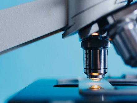 De ethiek achter ‘xenobots’