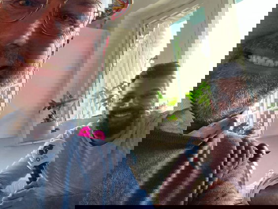 Waar is Waldy - Geen vertrouwen meer in de politiek