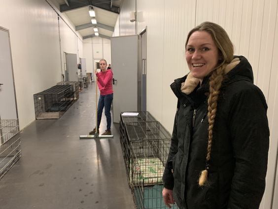 Dierenpension in coronatijd