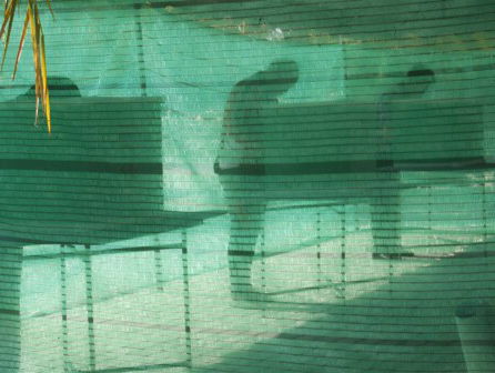 De weg naar bevrijding