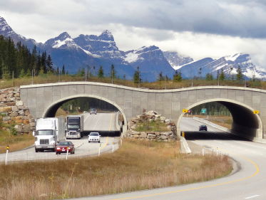 Indianenstammen protesteren tegen pijplijn Canada