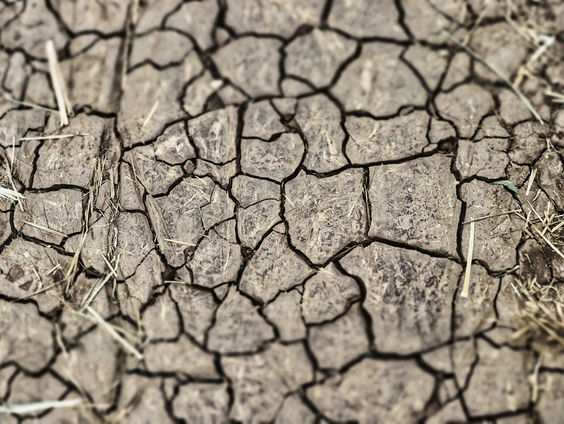 Droogte is een keuze
