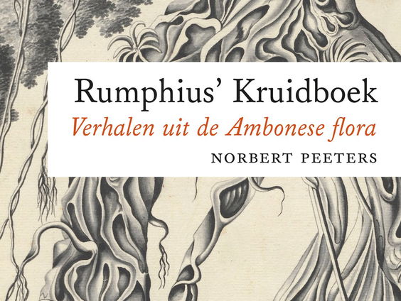 Rumphius' Kruidboek
