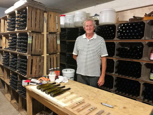 Hoe staat het ervoor met de Nederlandse wijn van dit jaar?