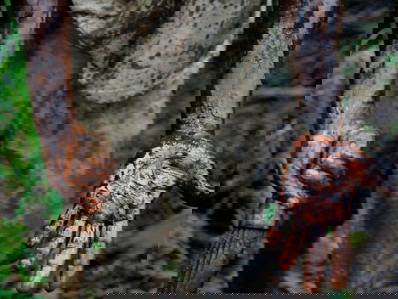 Shell compenseert slachtoffers olieschade Nigeria