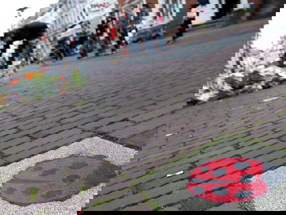 Moeten we stoppen de term 'zinloos geweld' te gebruiken?