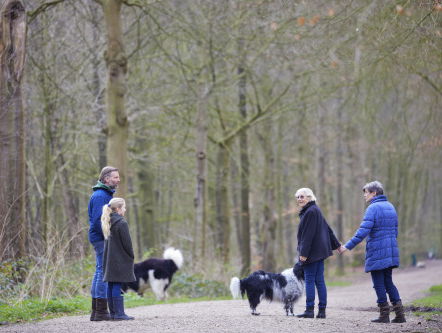 Feit of fictie: corona van je huisdier? Nou, nee dus.