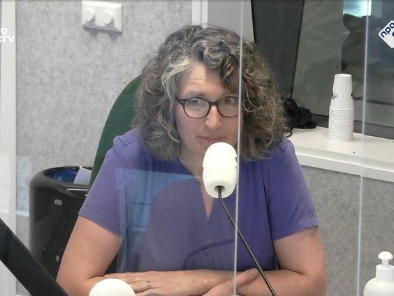 De Zomerschool Groot Dictee: verkleinwoorden