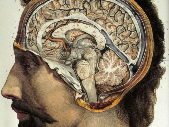 De heilzame werking van elektroshocks tegen depressie