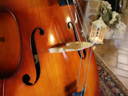 Eerste Contrabasfestival Ooit