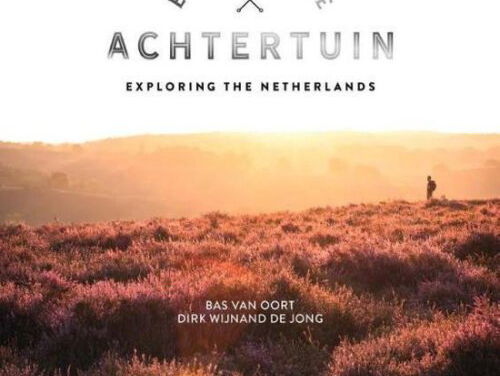 Expeditie achtertuin