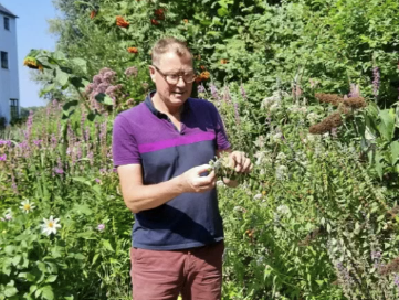 Een tuin vol insecten