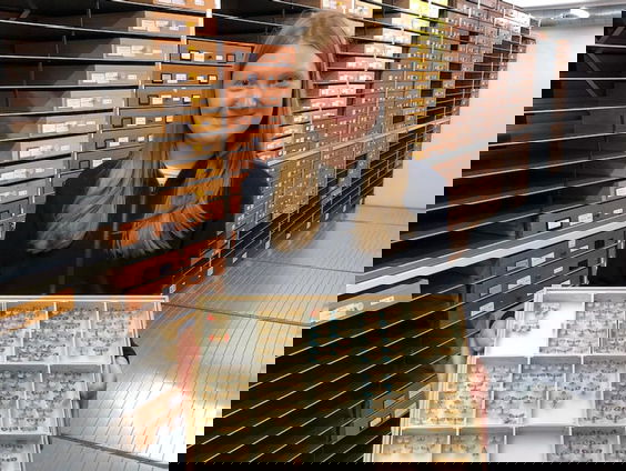 Student ontdekt nieuwe vlindersoort