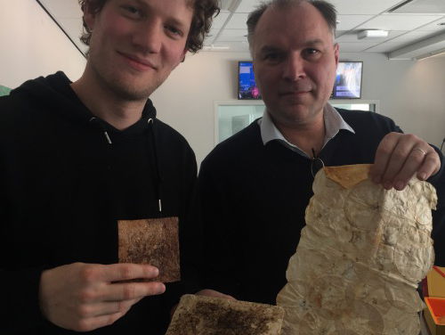 Schimmels: ''Meer dan dood, bederf en ziekte''