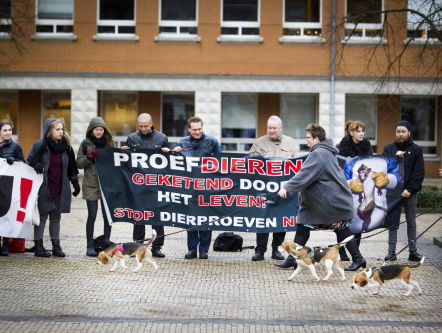 Wereldproefdierendag: zijn er alternatieven?