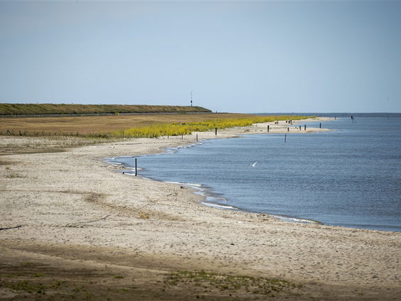 'Natuur moet ook rechtspersoon zijn'