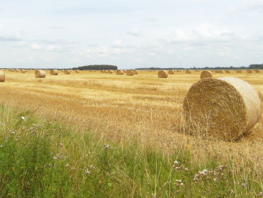 Hoe moet het met de Franse keuterboer?
