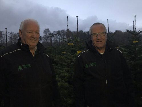 Verkoop kerstbomen begint steeds vroeger