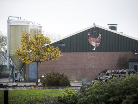 Voorstelling 'Grondproeven' brengt theater, lekker eten en het boerenbedrijf samen
