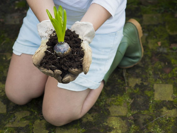 Tuinieren herondekt, deeltuinen zijn nieuw succesvol initiatief