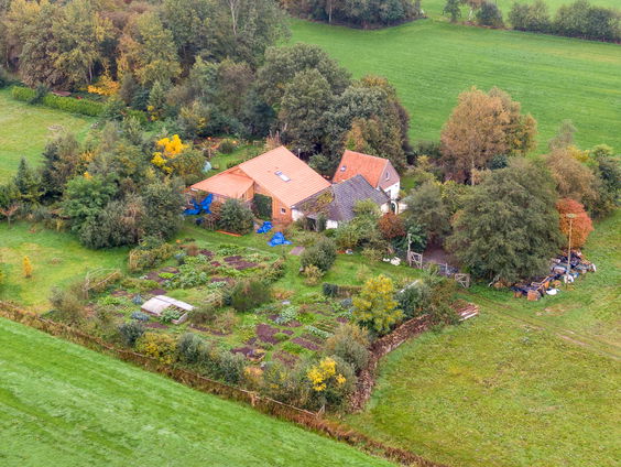 Napraat Ruinerwold: de trauma's van de kinderen