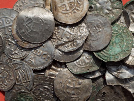 Blauwtand de verbinder