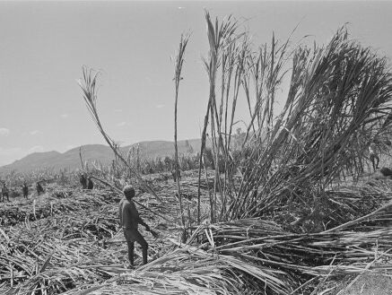 Jaap Scholten, The Scorpions en in Het Spoor Terug: Een suikeroom in Ethiopië - deel 1, 17-05-2020, 2e uur