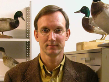 Kees Moeliker: De Mondkapmeeuw