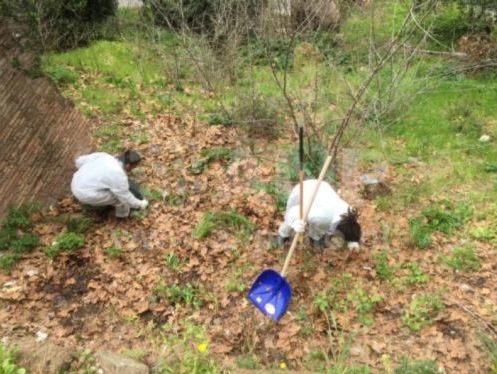 Rome zet gevangenen in tegen vuil