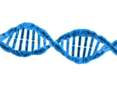 Lezen in het Donker met Esther Thole: Makers van Leven