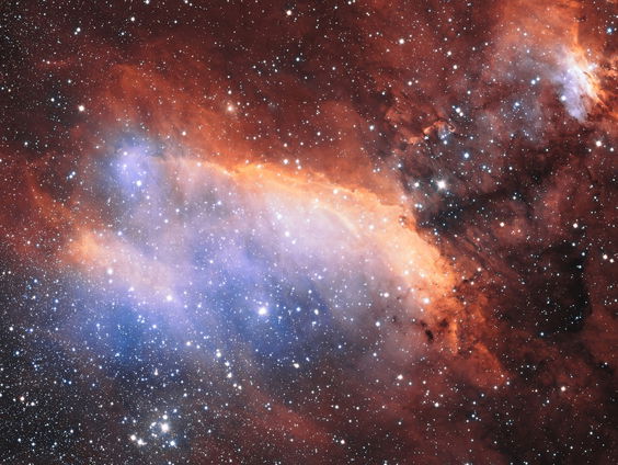 Huisvriend Adriaan ter Braack over Human Design