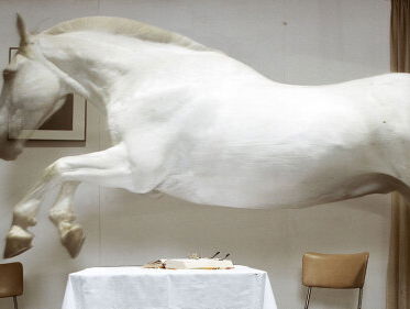 De Reismicrofoon: fotograaf Hannes Wallrafen