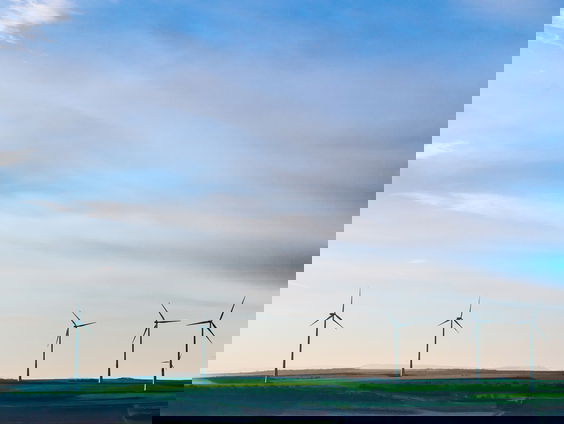 Daniel Poolen over de nieuwe groene taal van de EU: de taxonomie