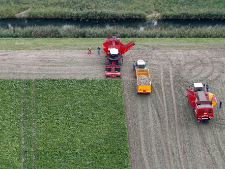 'Nederlandse boeren hebben laagste milieu-impact ter wereld'
