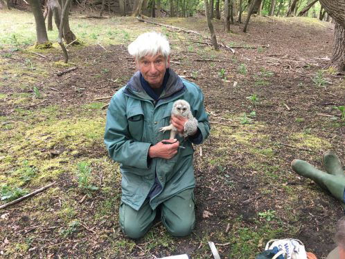 Zestig jaar bosuilen onderzoeken