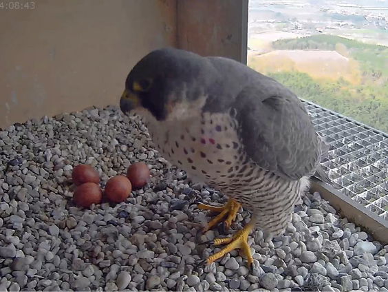 Zet de computer aan: Beleef de Lente gaat van start!