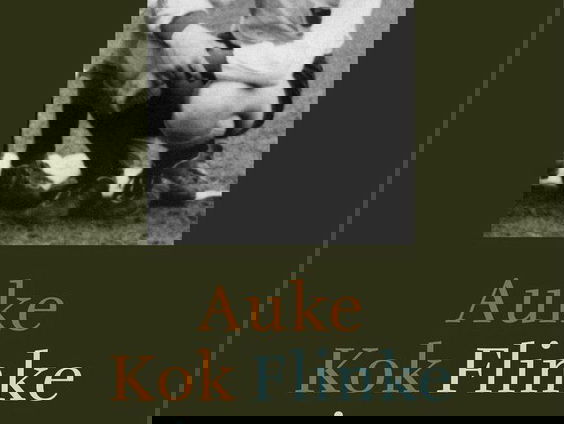 'Flinke jongen', de debuutroman van Auke Kok